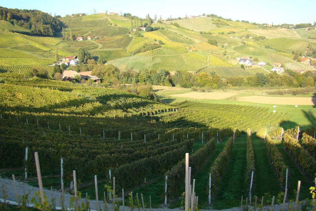 Farm Stay Jarc Vineyard Svecina Exterior foto