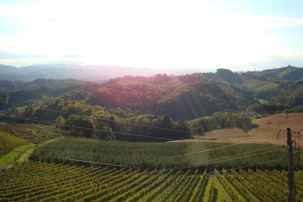 Farm Stay Jarc Vineyard Svecina Exterior foto
