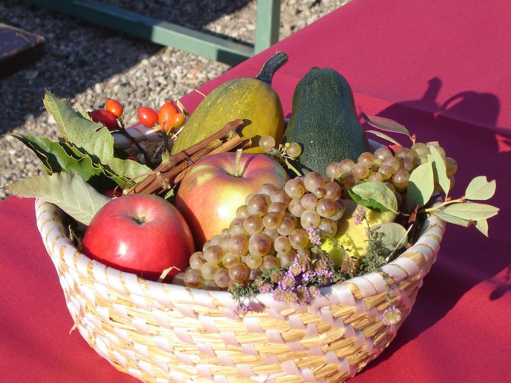 Farm Stay Jarc Vineyard Svecina Exterior foto