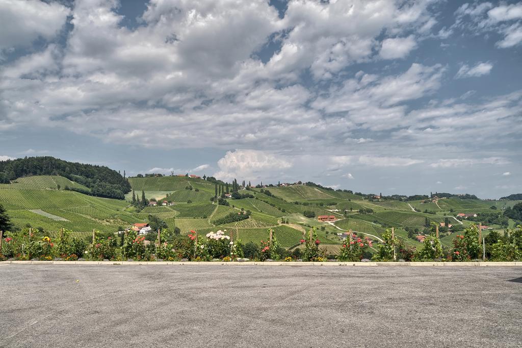 Farm Stay Jarc Vineyard Svecina Exterior foto
