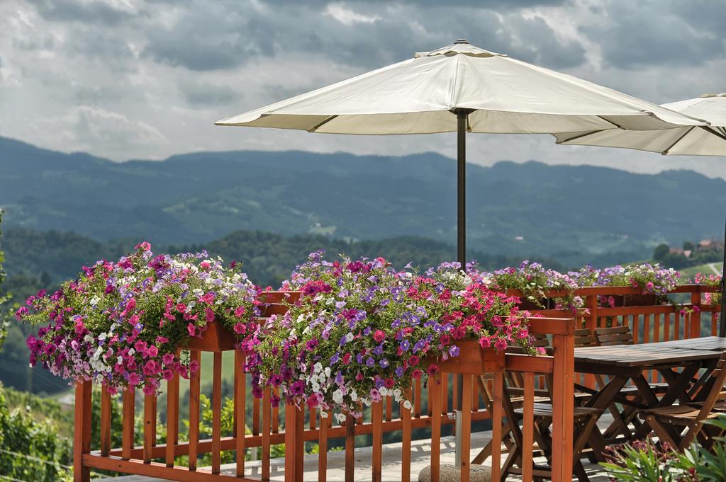 Farm Stay Jarc Vineyard Svecina Exterior foto