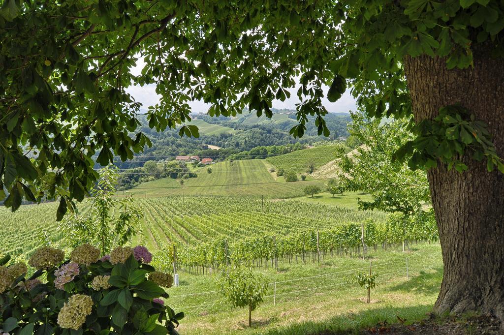 Farm Stay Jarc Vineyard Svecina Exterior foto
