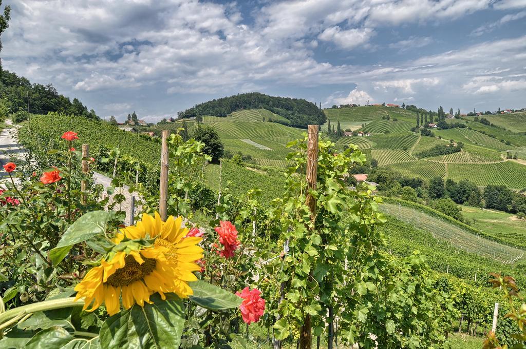 Farm Stay Jarc Vineyard Svecina Exterior foto