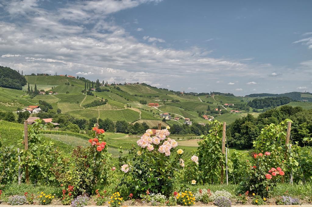 Farm Stay Jarc Vineyard Svecina Exterior foto