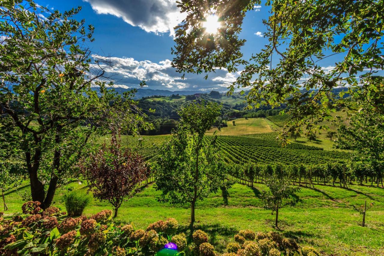 Farm Stay Jarc Vineyard Svecina Exterior foto